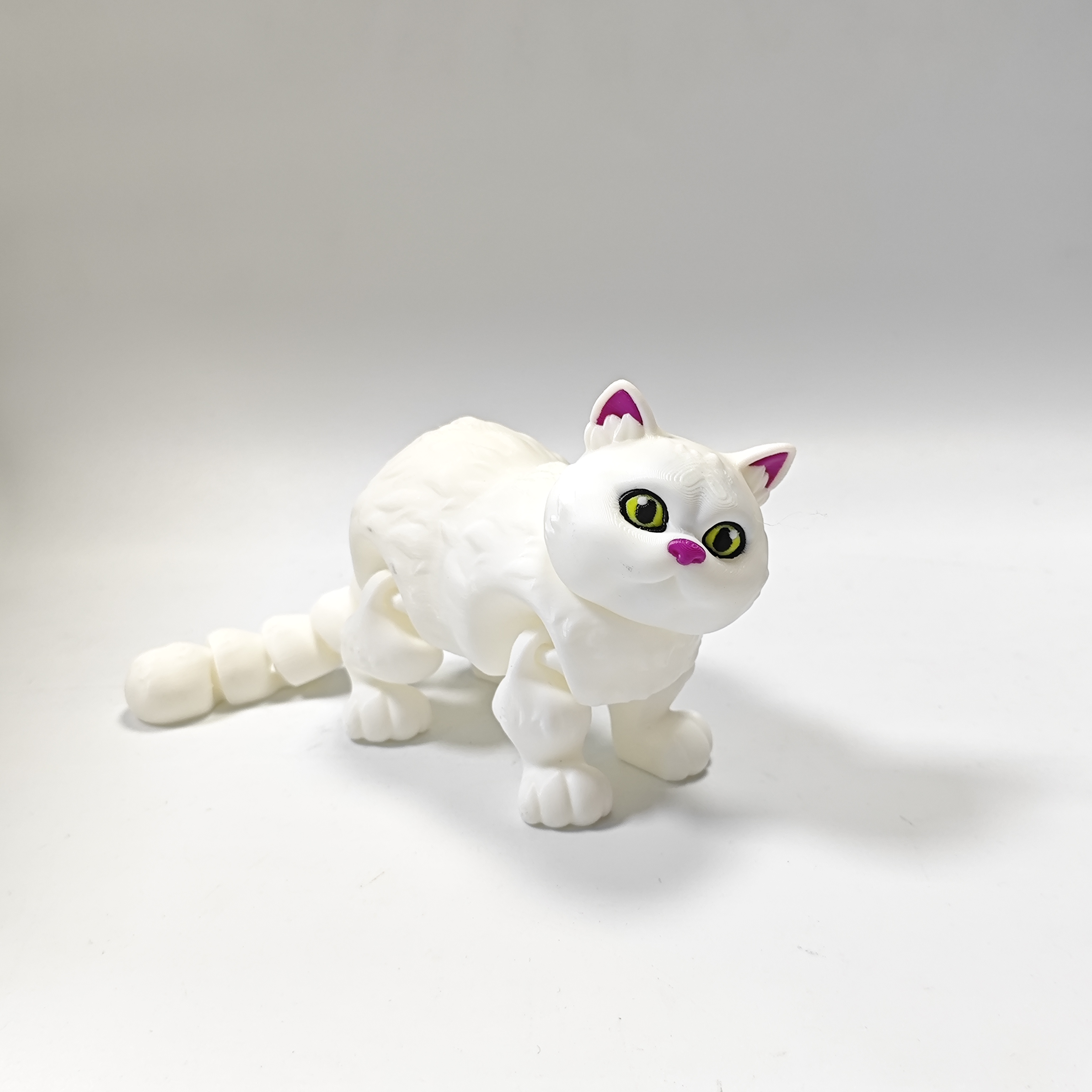 Cat - URMYWO
