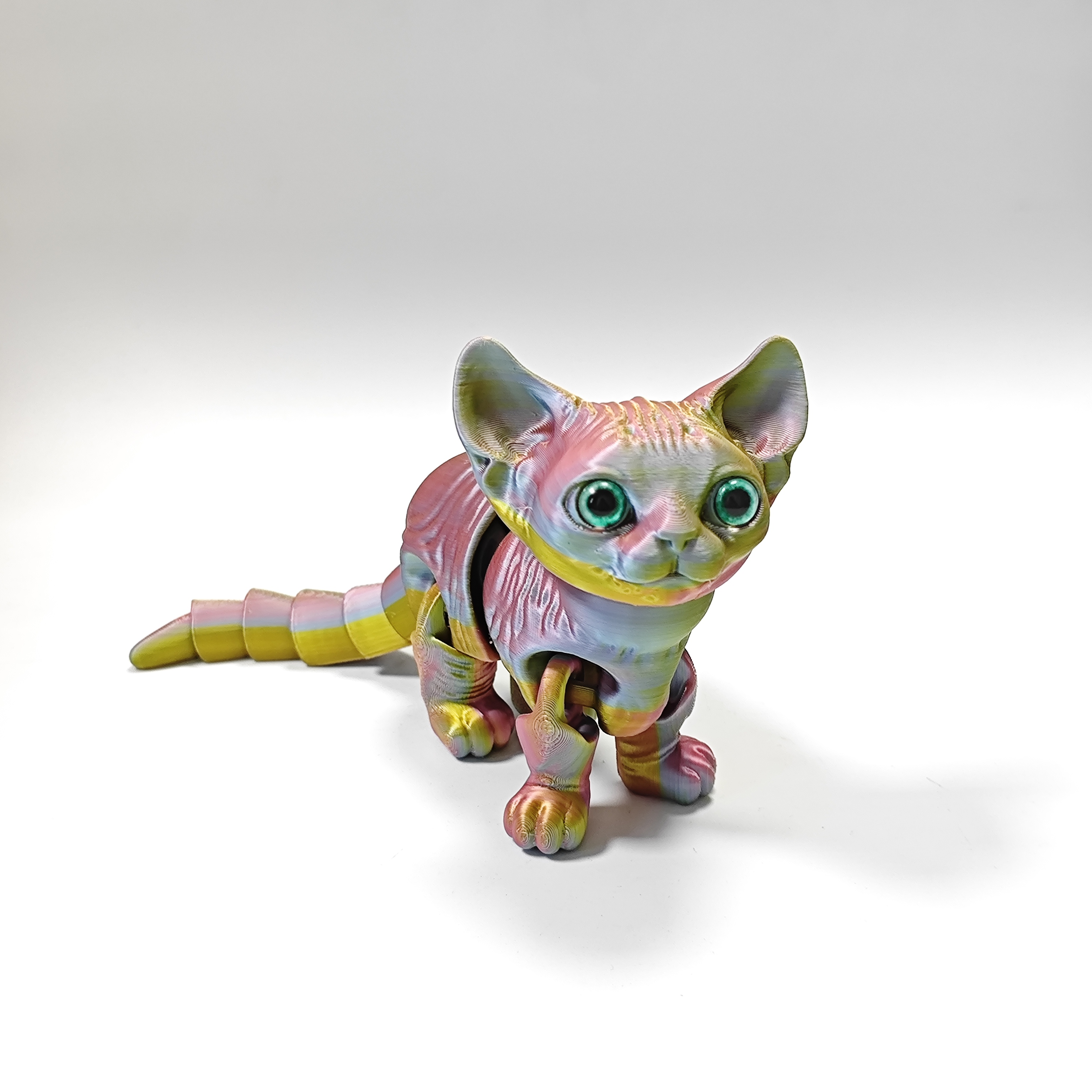 Hairless Cat - URMYWO