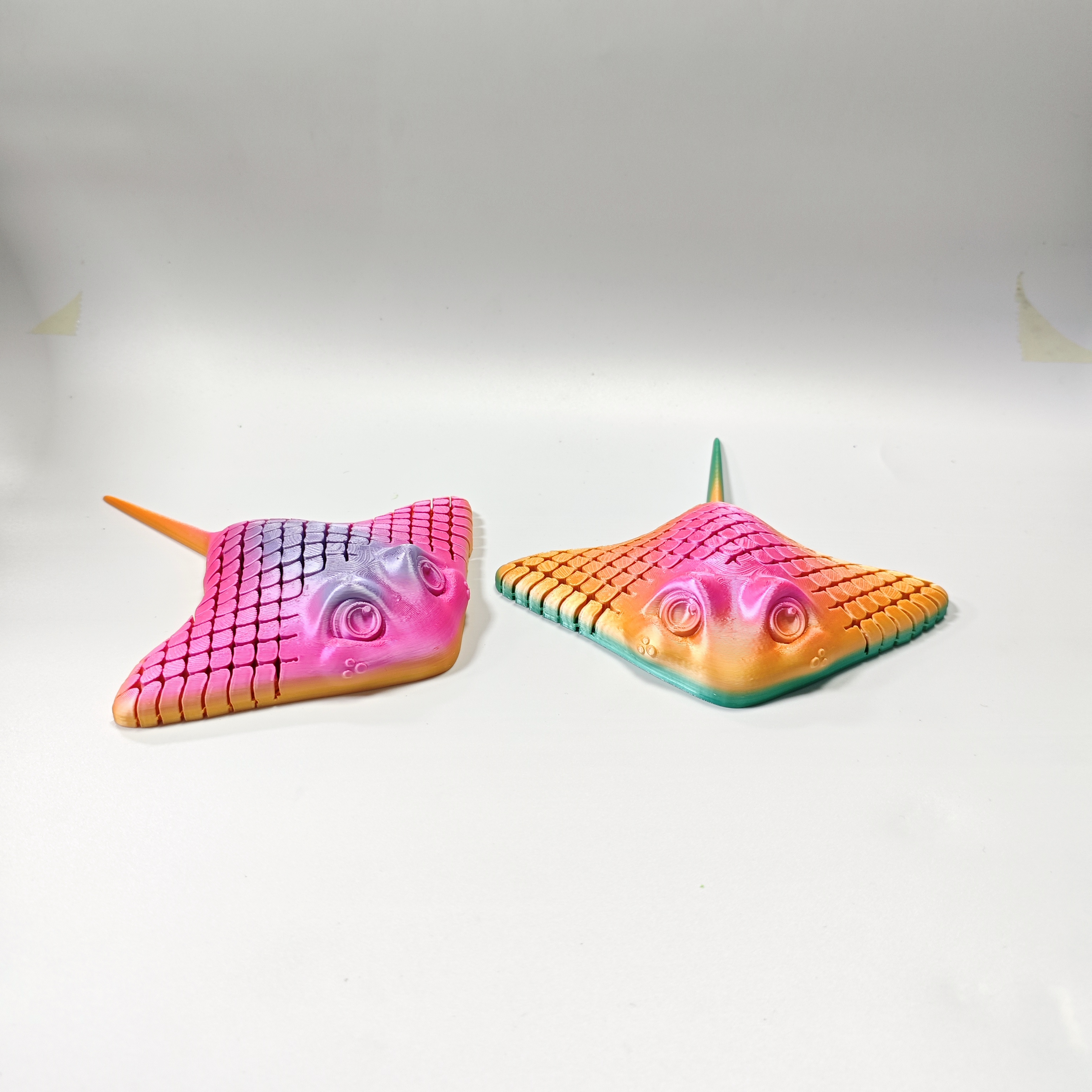 Manta Ray - URMYWO