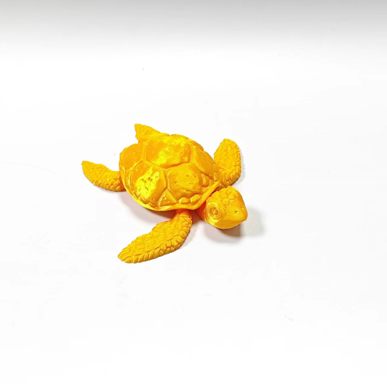 Sea Turtle - URMYWO