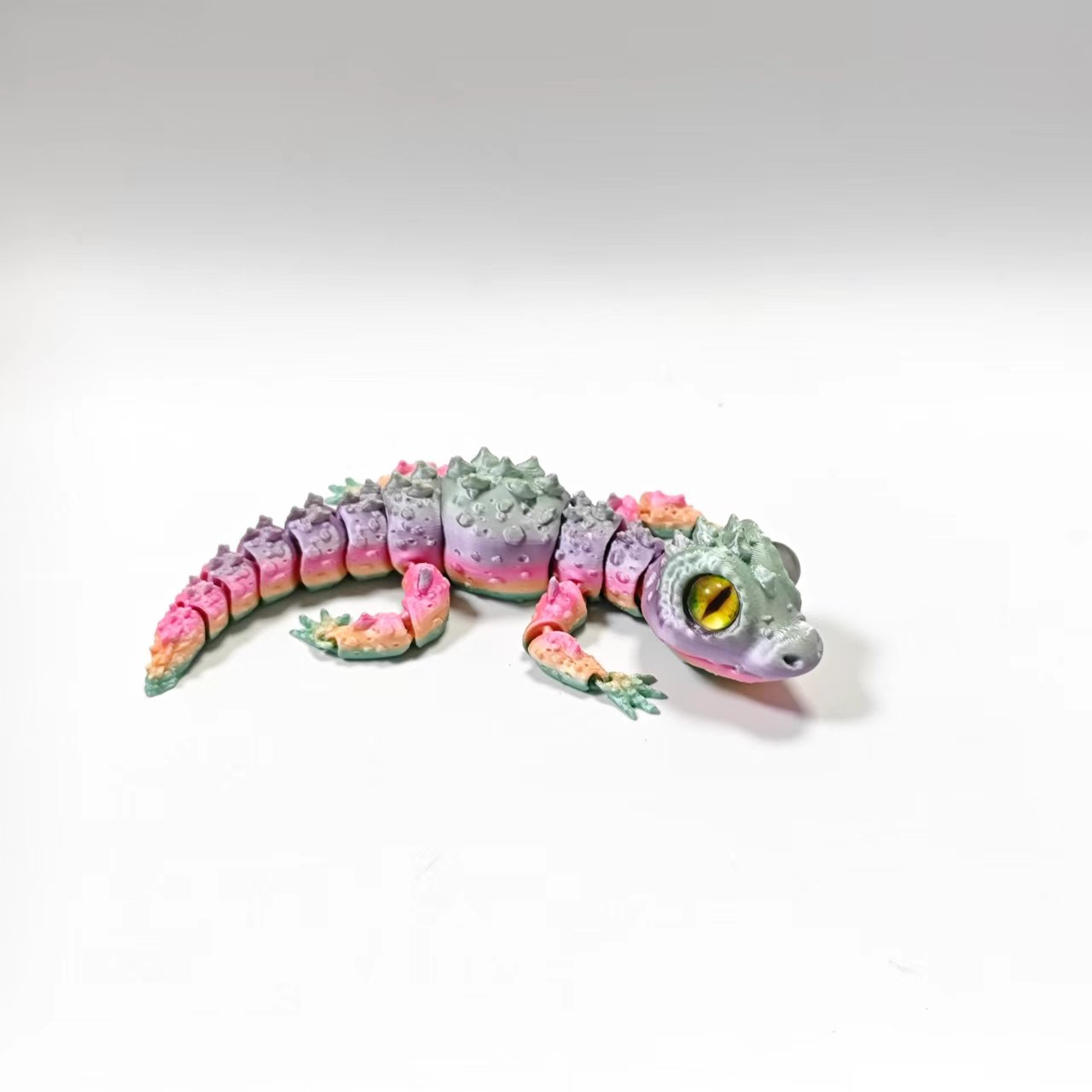 Small Lizard - URMYWO